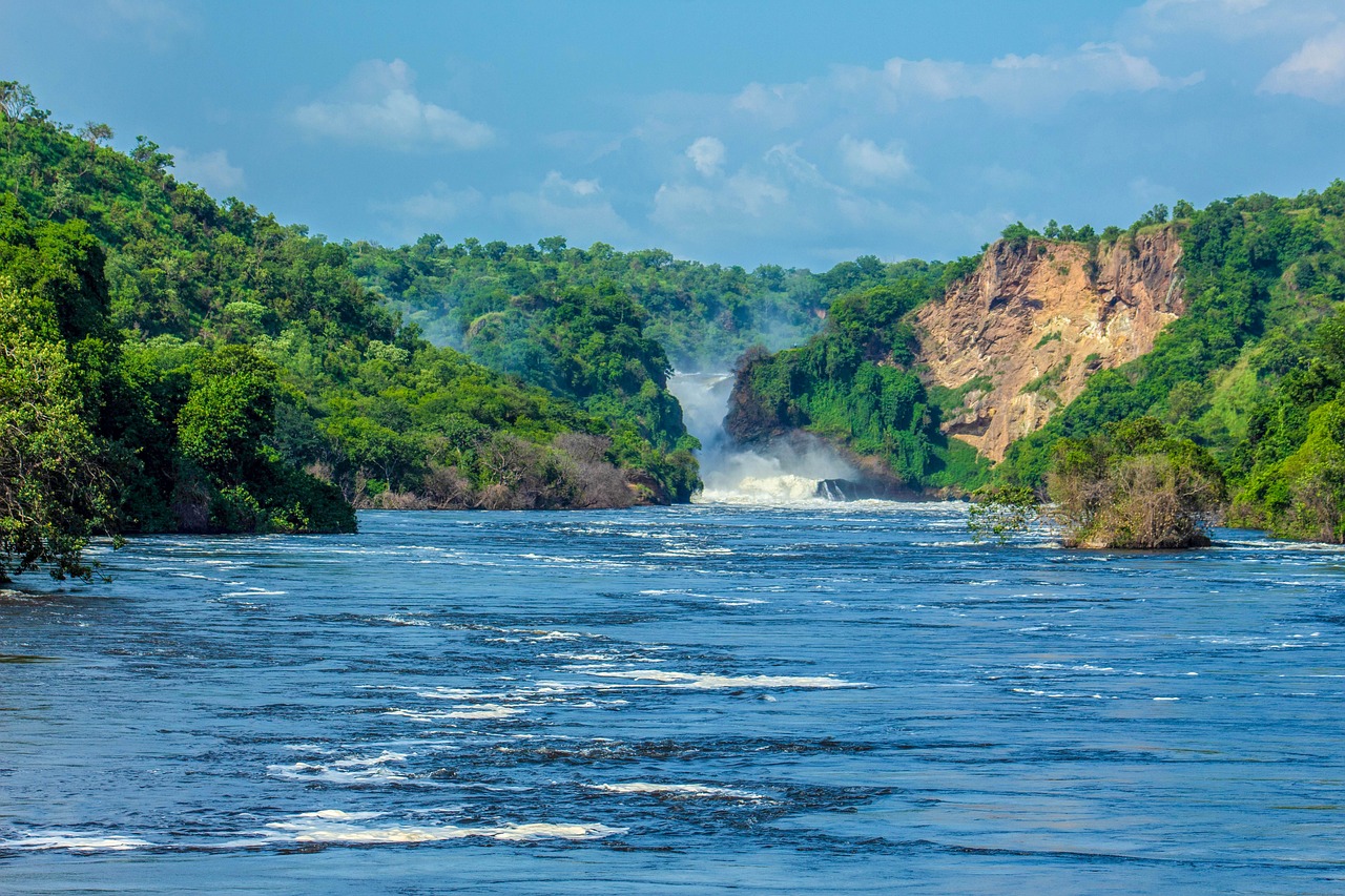 Park entrance fees in Uganda's national Parks